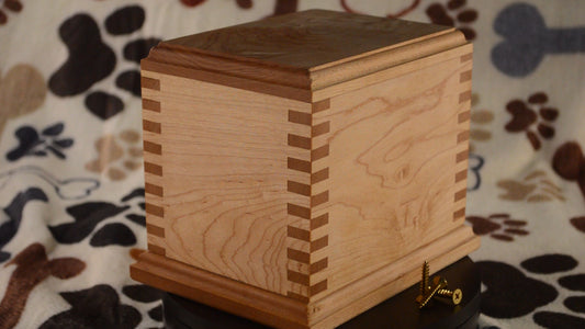 Large Maple box Joint